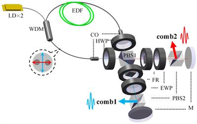 Polarization-multiplexed dual-comb fiber laser based on an all-polarization-maintaining cavity configuration
